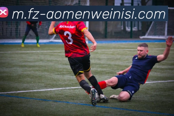 威尼斯人官网APP 封面图